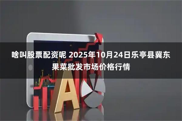 啥叫股票配资呢 2025年10月24日乐亭县冀东果菜批发市场价格行情